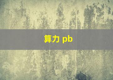 算力 pb